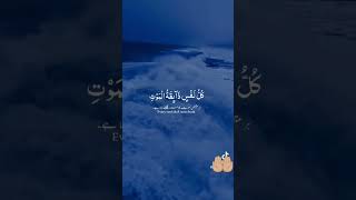 Quran recitationgoosebumps quranrecitation goosebumps muslim recitation [upl. by Gardie731]