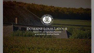 Sustainable viticulture at Domaine Louis Latour [upl. by Avis]