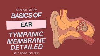 Tympanic Membrane in Detail  External Ear  ENT  ENTopic Vision [upl. by Einotna]