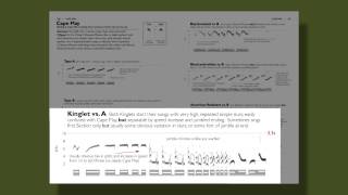 The Warbler Guide  Vocalizations [upl. by Nosro809]