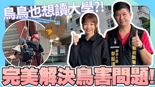 鳥鳥也想讀大學完美解決成功大學裡的鳥害問題｜台灣鳥害防治中心｜台灣蜘蛛人｜鳥害｜鳥糞清理｜防鳥網｜鳥刺｜鳥害防治專家 [upl. by Berlauda]