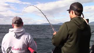 Trophy Mackinaw on Montanas Flathead Lake [upl. by Annaed470]