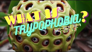 Understanding Trypophobia PHOBIA TEST Triggers Coping Strategies and More [upl. by Iggam]