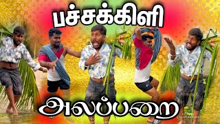 பச்சகிளி அலப்பறை starting frds 😂  VijayTv Kalaiyarasan  vj kavin  crocodile comedy  comedy [upl. by Reneta753]