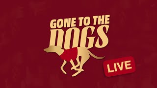 Gone to the Dogs  Live [upl. by Lertnek]