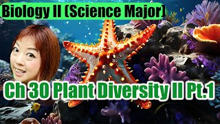 Ch 30 Plant Diversity II Part 1 [upl. by Karylin]