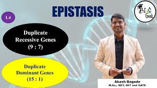 Genetics Duplicate Recessive and Duplicate Dominant Epistasis BScMSc SPPU Life Science [upl. by Anialeh]