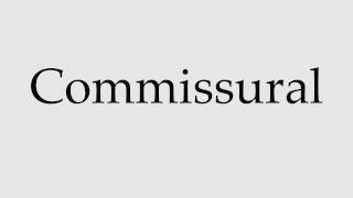 How to Pronounce Commissural [upl. by Cruickshank]