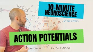 10Minute Neuroscience Action Potentials [upl. by Platus]