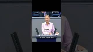 Deutschland wird von Idioten Regiert afd weidel dieampelmussweg illegal refugees [upl. by Tebor329]