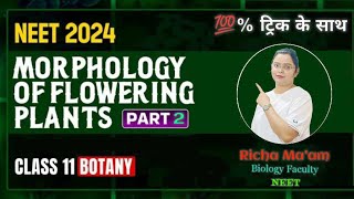 Morphology of Flowering Plants 🔥🔥🔥  NEET  Full Chapter  Part  2 [upl. by Aseram396]