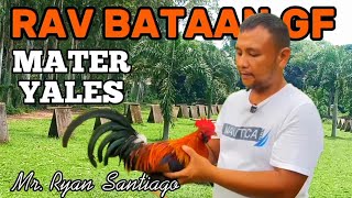 Materyales Ng RAV Bataan Game Farm  Farm Visit Orion Bataan [upl. by Ranique389]