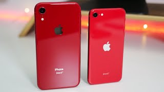 iPhone SE 2020 vs iPhone XR  Which Should You Choose [upl. by Daj]