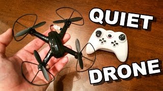 Amazingly Quiet RC Quadcopter  DM 003 Mini Speed Flight  TheRcSaylors [upl. by Daney]