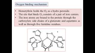 KSET ExamBioinorganic Chemistry4Hemerythrin Structure and function Iron Metalloporphyrins Kannada [upl. by Lahtnero]