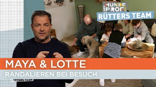 Mutter Louisa ist verzweifelt und hofft auf Hilfe von Marcel 😥  Der Hundeprofi  Rütters Team [upl. by Amikehs]