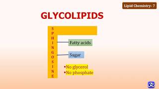 7 Glycolipids  Lipid Chemistry7  Biochemistry  NJOY Biochemistry [upl. by Gilbye]