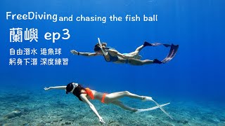 自由潛水 追魚球 躬身下潛  FreeDiving and chasing the fish ball [upl. by Aldo102]