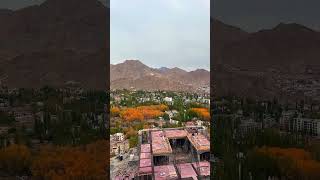 Leh City  Ladakh  Leh view point  Shanti Stupa ladakh ladakhdairies ladakhtrip ladakhtourism [upl. by Hnamik]