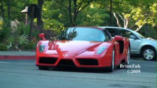 Ferrari Enzo [upl. by Jocelyne]