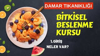 1 GİRİŞ Damar Tıkanıklığı Bitkisel Beslenme Sağlık ProfDrSerdar Akgün [upl. by Kifar]