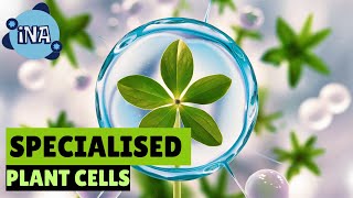 Incredible Secrets of Plant Cells [upl. by Nica742]