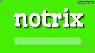 NOTRIX  HOW TO PRONOUNCE NOTRIX [upl. by Persis]