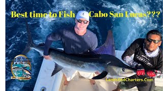 Best Time to Fish in Cabo San Lucas Mexico  Marlin Tuna and Rooster Fish Seasons [upl. by Ellehcal]