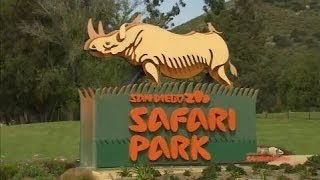 San Diego Zoo Safari Park [upl. by Asirrak211]