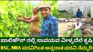 ಪಾಲಿಹೌಸ್ ಸಾವಯವ ವೀಳ್ಯದೆಲೆ ಕೃಷಿ  Betel leaf plantation in polyhouse  betel leaf farming in kannada [upl. by Eirehs]