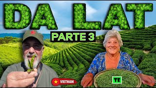 38 DIAS POR VIETNAM 🇻🇳 2024 DA LAT  VIDEO 16 [upl. by Grefe]