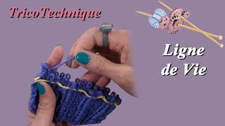 Tuto tricot  La ligne de vie pour côtes [upl. by Rifkin]