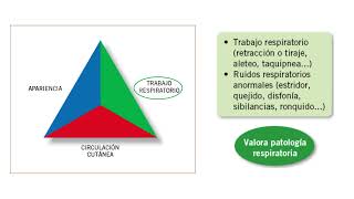 triangulo de evaluacion pediatrica resumen 2 minutos [upl. by Nylynnej]