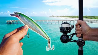 Catching Stud Pelagic Fish from Florida Pier [upl. by Thekla113]