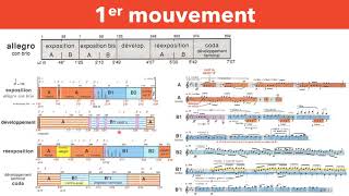 Beethoven  5ème Symphonie  Analyse 1er mouvement [upl. by Hale]