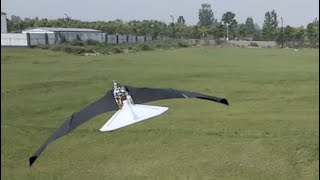 Ornithopter with morphingcoupled wingbeat pattern [upl. by Einimod]