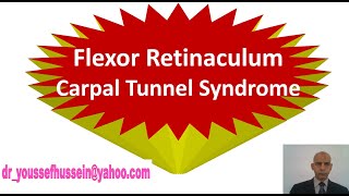 16 Flexor Retinaculum  Carpal Tunnel Syndrome [upl. by Jocko]