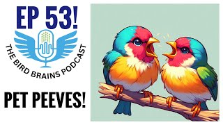 Pet Peeves and Bird Updates The Bird Brains Podcast EP 53 [upl. by Lletnohs]