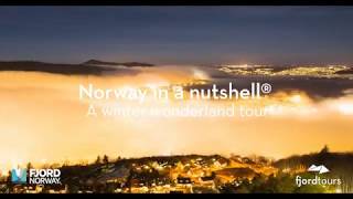 Norway in a nutshell® Winter Tour [upl. by Oedama]