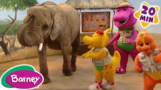 Barney  The Good Egg Kenya  Full Episode  Season 13 [upl. by Wampler]