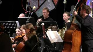 Mary Bonhag performs with the Community Engagement Lab Festival Orchestra [upl. by Shina94]