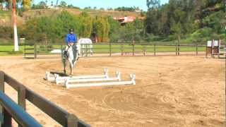 Bernie Traurig Teaches Basic Flatwork [upl. by Gwenette]