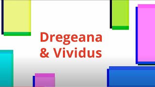 Dregeana amp Vividus  Step It Up 2022 Finals [upl. by Celestia]