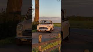 Mini Classic Walk Around  Innocenti 1001 [upl. by Nivre492]