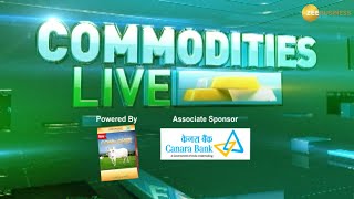 Commodity Live  Gold Rush or Slowdown Unveiling the Future of Precious Metals [upl. by Savihc159]