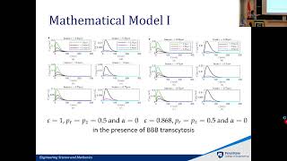 Modeling Transport and Neuronal Effects of Alzheimer’s Drug Donepezil Hydrochloride [upl. by Tor]