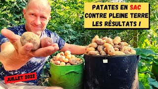 Patates en sac ► Résultats de la plantation à la récolte cest pas foufou [upl. by Craddock830]