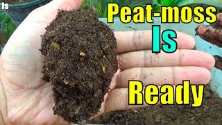 728 Peat Moss Ko Kis Trha Ready Karin  I Love Peat Moss  Acidic Soil [upl. by Kcirdor]