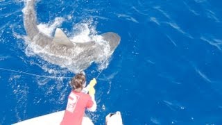 Islamorada Shark Fishing [upl. by Torin]