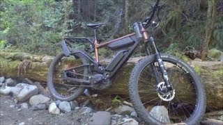 RampM Delite Mountain Rohloff eShift Review and Ride Test [upl. by Acsot]